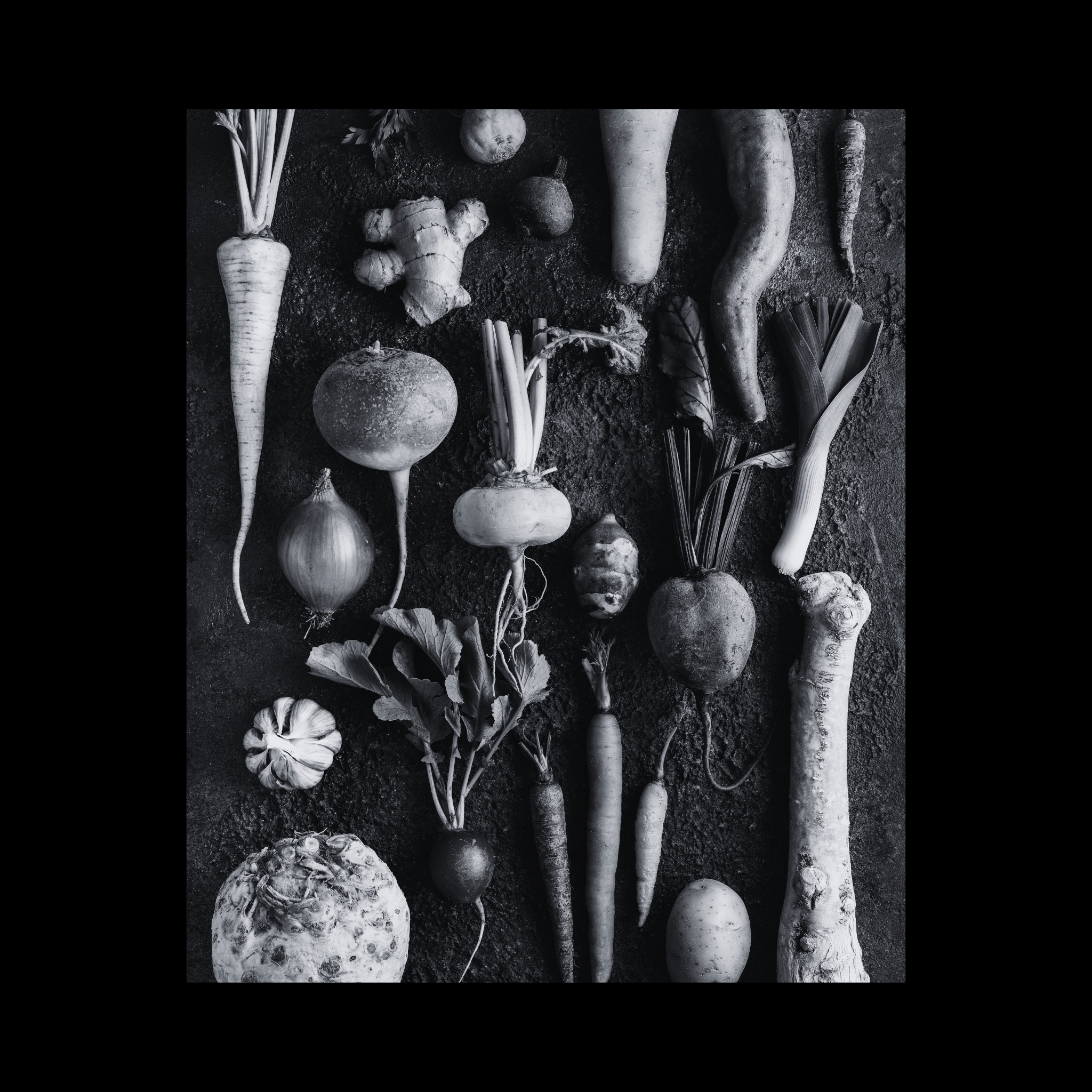Fresh Veg